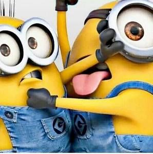 Meet your Posher, Ann